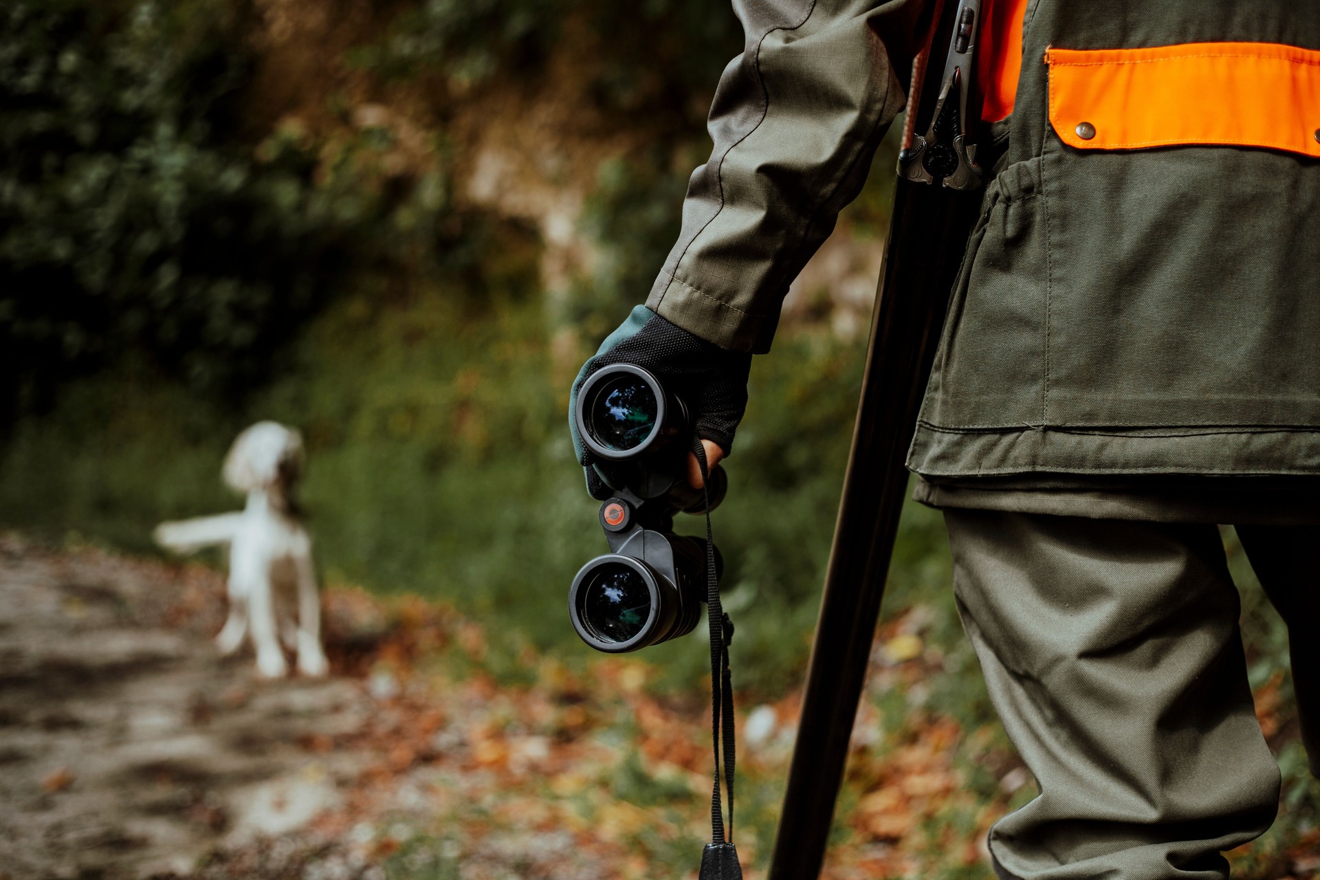 hunter standing on hunting ground
