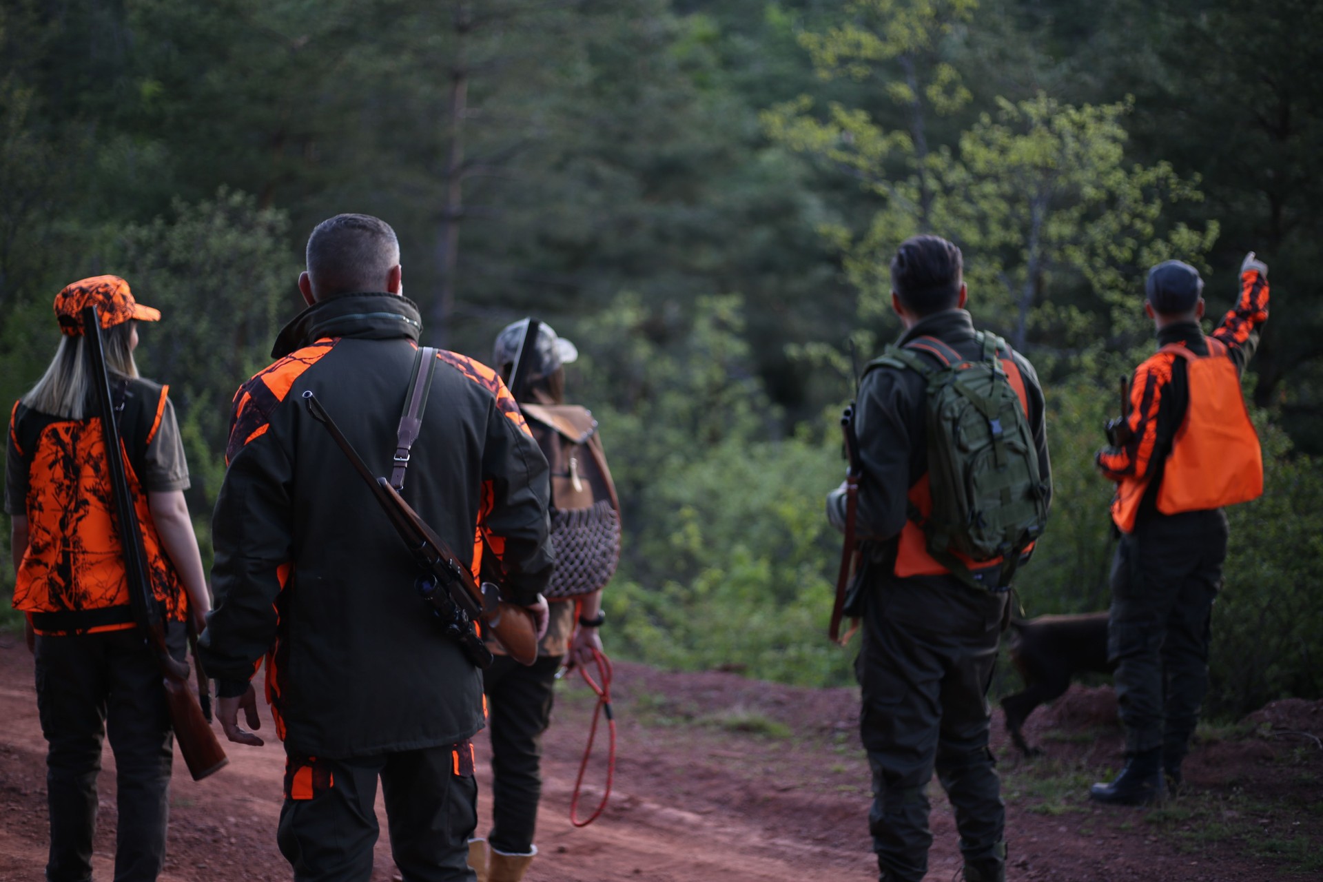 Hunters in the forest stock photo